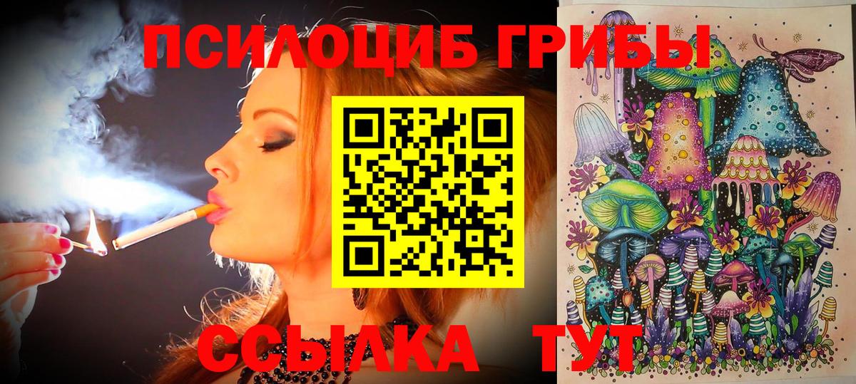 Псилоцибиновые грибы мухоморы  Вход с VPN  Галлюциногенные грибы GOLDEN TEACHER  как найти наркотики  Набережные Челны 